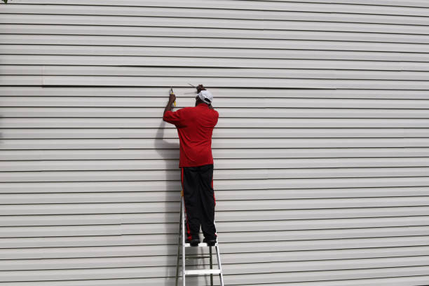 Best Insulated Siding Installation  in Litchfield Beach, SC